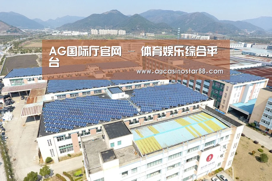 案例展示二