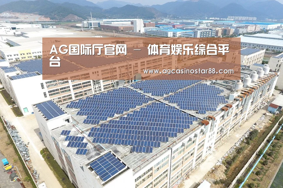 案例展示三