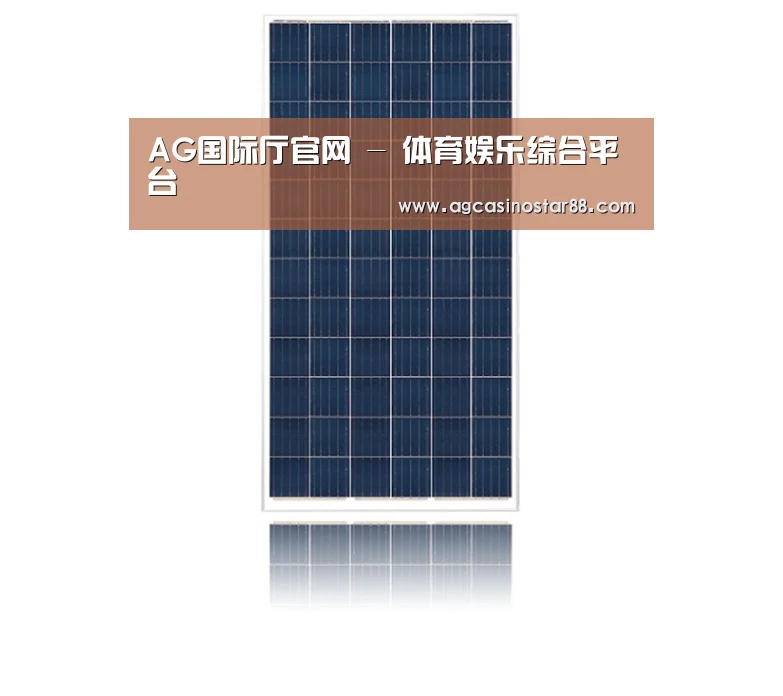 产品名称一