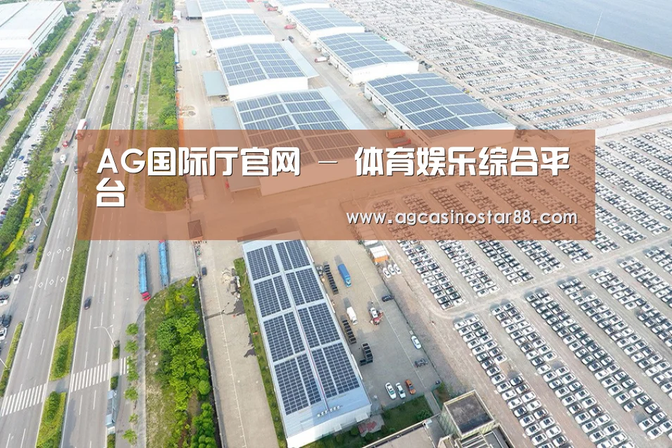 案例展示一