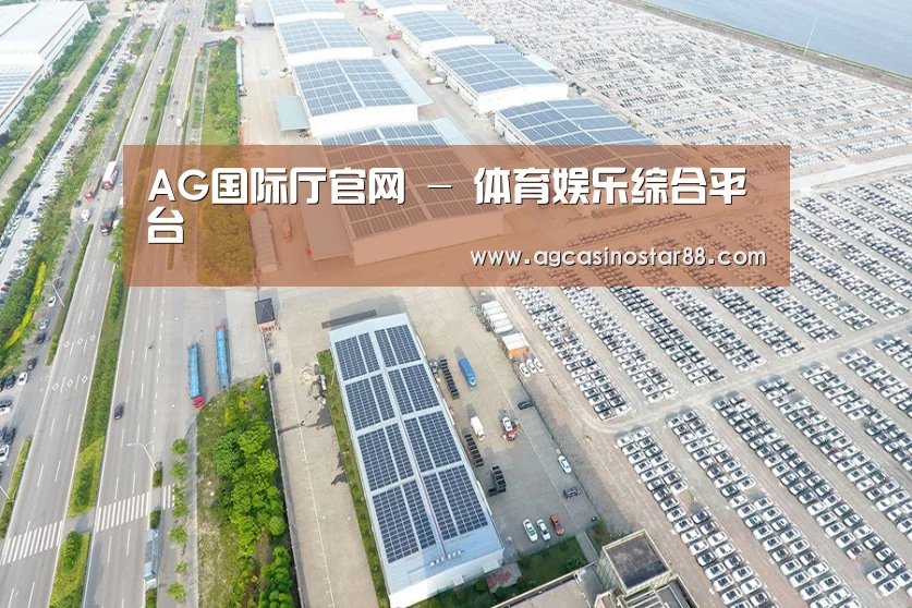 案例展示四