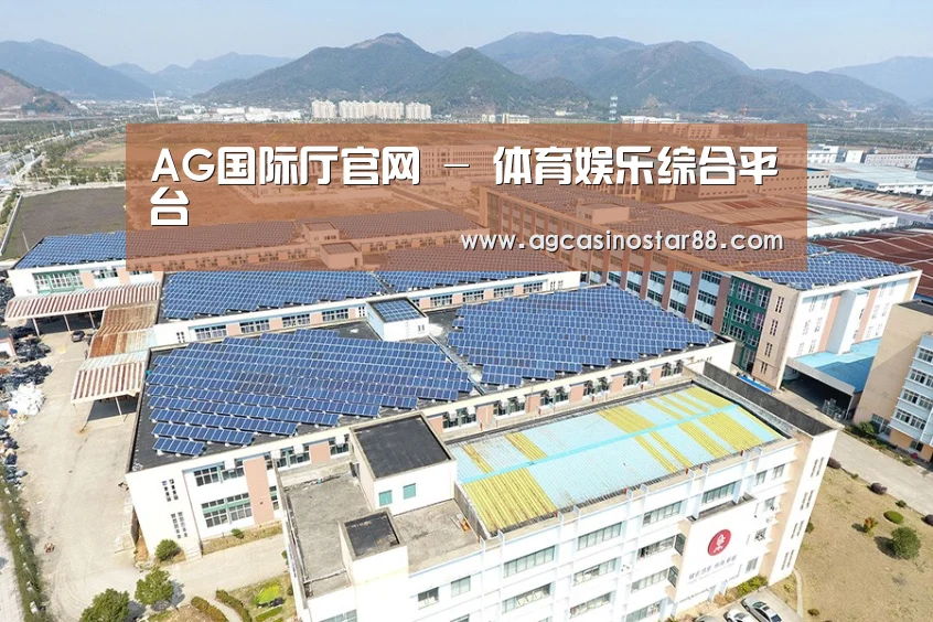 案例展示三