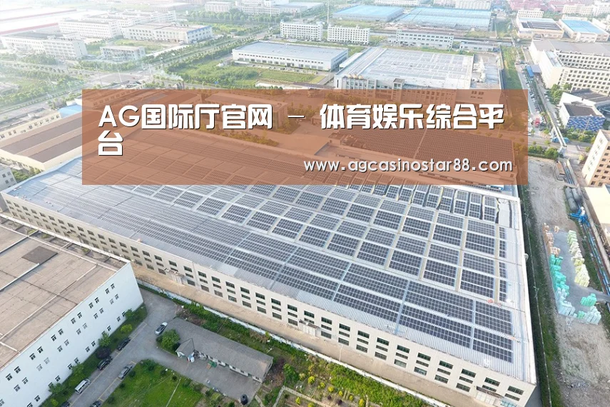 案例展示四